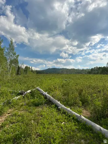 94 Hilltop Ln #94 &95, Fairview, UT 84629 - #3