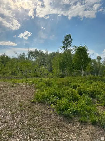 #79 &81, Fairview, UT 84629 - #2
