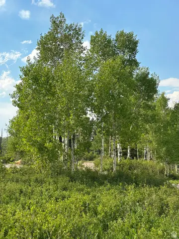 #79 &81, Fairview, UT 84629 - #3