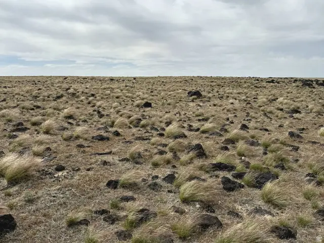 Address Withheld By Seller, Kanosh, UT 84637 - #2