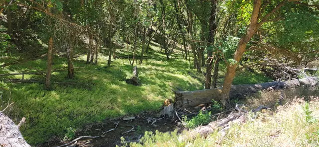 Address Withheld By Seller, Morgan, UT 84050 - #1