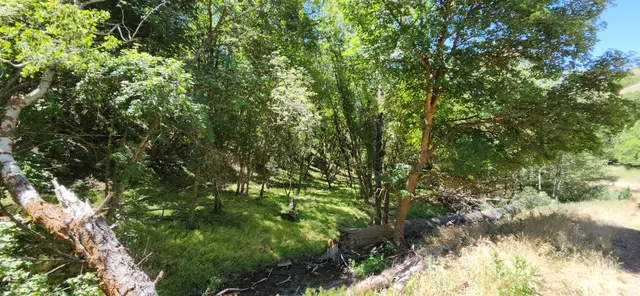 Address Withheld By Seller, Morgan, UT 84050 - #2