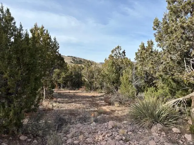 277 N Pinion Cir #9, Central, UT 84722 - #2