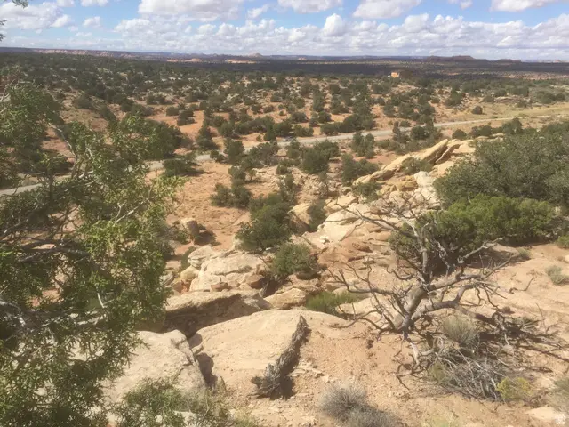 187 S Bridger Jack Trail #11, Moab, UT 84532 - #3