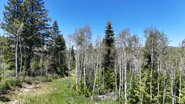22738 E Snowbird Dr #C35, Spanish Fork, UT 84660 - #2