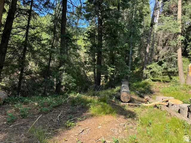 #23, Mount Pleasant, UT 84647 - #3