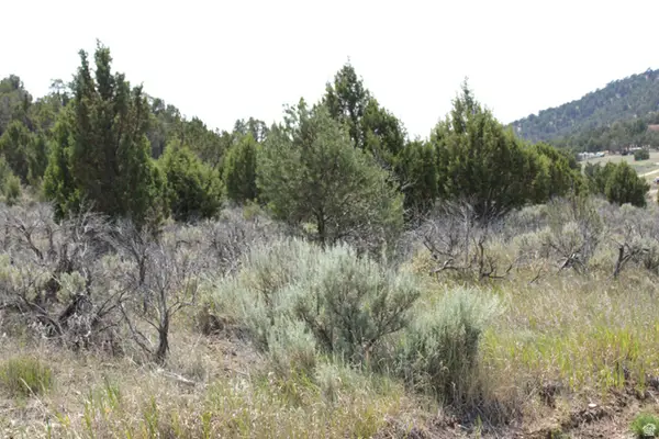 #21 B, Fairview, UT 84629