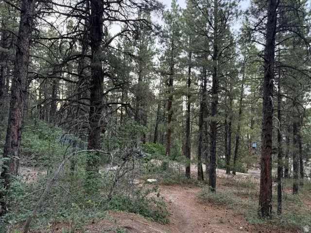 137 N Kolob #36, Springdale, UT 84767 - #1
