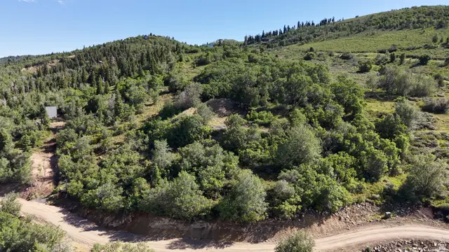 22045 N 143778 E #121, Fairview, UT 84629 - #1