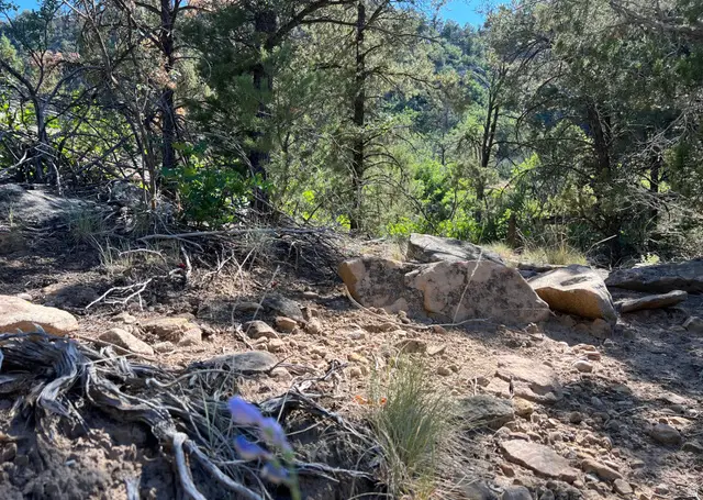 Address Withheld By Seller, La Sal, UT 84530 - #3