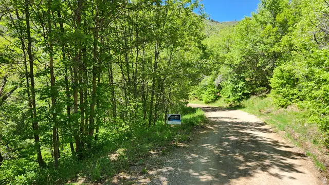 22465 N Elk Meadow Dr #O44, Fairview, UT 84629 - #1