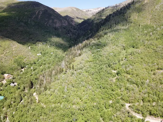 22465 N Elk Meadow Dr #O44, Fairview, UT 84629 - #3