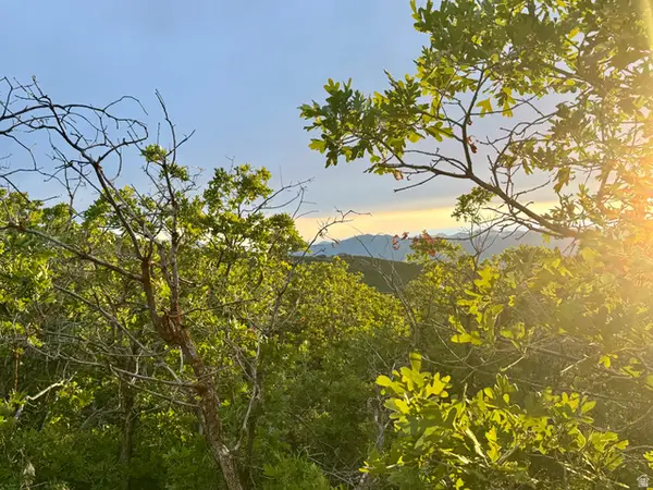 1556 S Tree Top Ln #353, Heber City, UT 84032