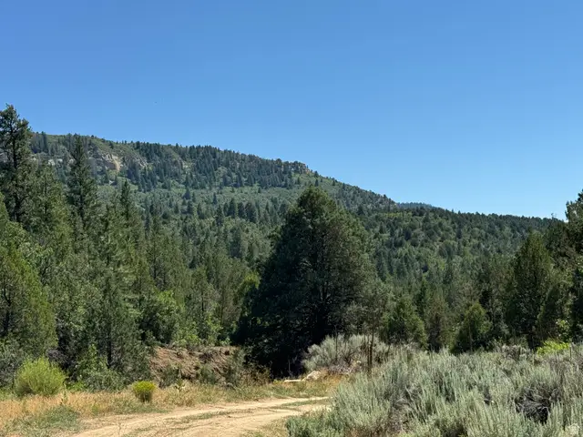 #1E, Orderville, UT 84758 - #1