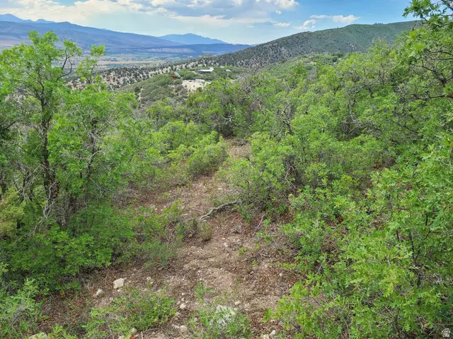 6 S Red Fox Way W #6, Fairview, UT 84629 - #2