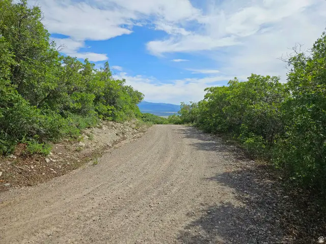 6 S Red Fox Way W #6, Fairview, UT 84629 - #3