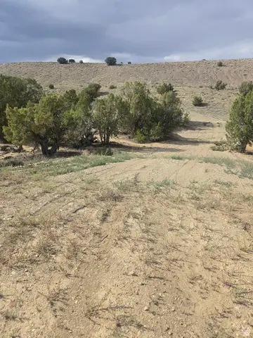 19774 W Toshas Trl #7, Duchesne, UT 84021