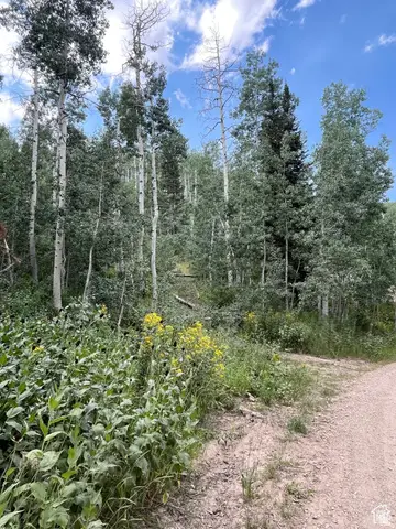 2102 S Uintah View Dr #61, Coalville, UT 84017 - #1