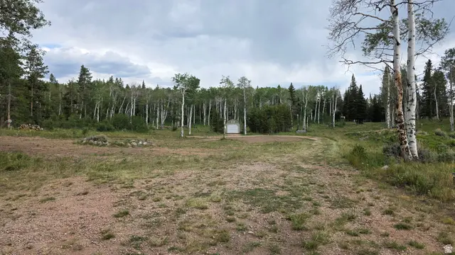 38 Spruce #38A, Kamas, UT 84036 - #2
