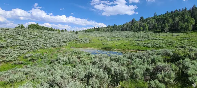 22991 E Alta Dr S #C11, Spanish Fork, UT 84660 - #2