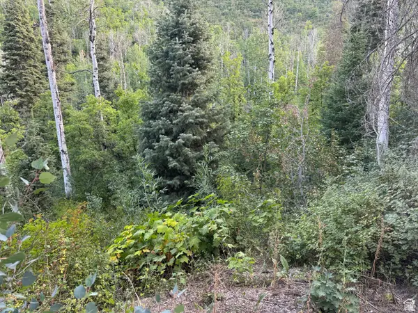 819 North Fork Rd #819, Mt Pleasant, UT 84629