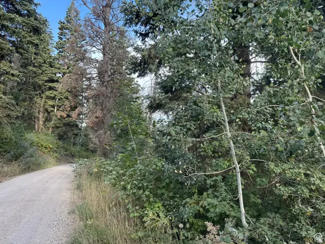 819 North Fork Rd #819, Mount Pleasant, UT 84629 - #2