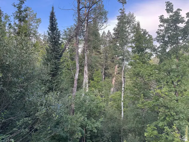 819 North Fork Rd #819, Mount Pleasant, UT 84629 - #3