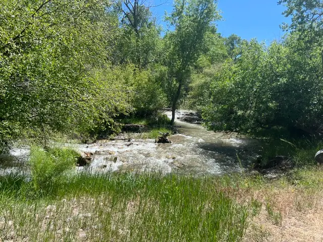 865 S Bullion Canyon Rd #3, Marysvale, UT 84750 - #3