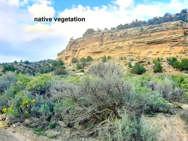 3366 N Thompson Rd, Thompson, UT 84540 - #3