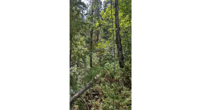 40 Skyhaven Mountain Retreat #40, Duck Creek Village, UT 84762 - #3