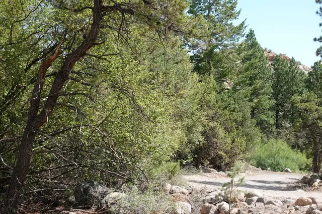 2500 S Birch Creek Rd, Teasdale, UT 84773 - #1