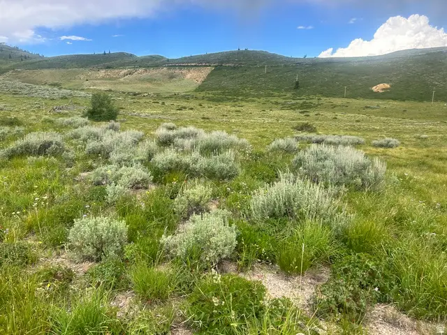 5465 N Lone Hill Dr #1 & 2, Midway, UT 84049 - #3