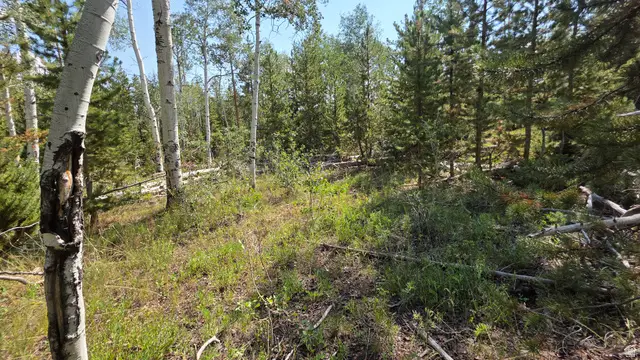 5085 Alpine Rd #6, Kamas, UT 84036 - #2