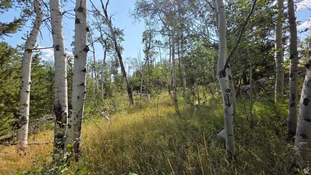 5085 Alpine Rd #6, Kamas, UT 84036 - #3