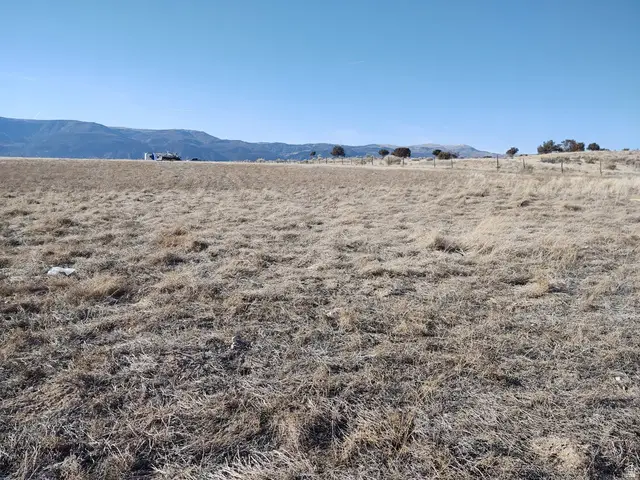 4000 E Racetrack Rd N #61-62, Moroni, UT 84646 - #2