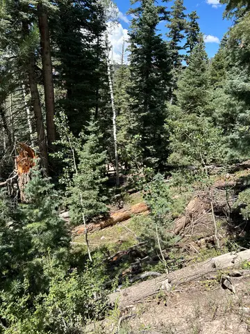 6980 W Kodiak Dr #10, Duck Creek Village, UT 84762 - #3