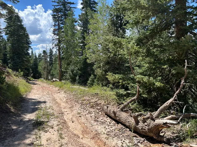 6410 W Kodiak Dr #12, Duck Creek Village, UT 84762 - #2