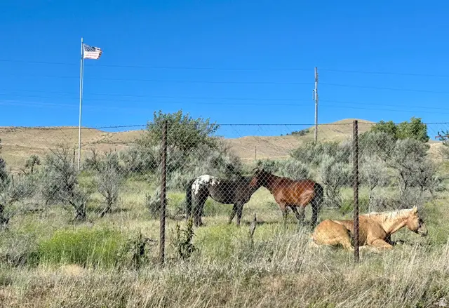 1940 W Old Highway Rd, Morgan, UT 84050 - #3