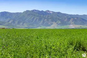 2710 W 6400 S #1, Wellsville, UT 84339 - #2