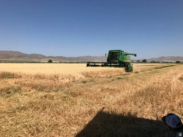 10000 W 10400 N, Bothwell, UT 84337 - #3