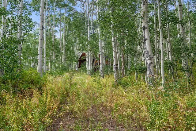 5485 N Pinecone Rd #214, Midway, UT 84049 - #2