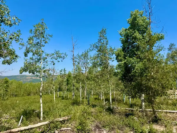 10775 E Tanglewood Dr #631, Heber City, UT 84032