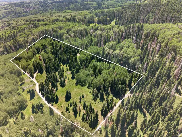 100 S Forest Road 0242 #1 & 2, La Sal, UT 84530 - #3