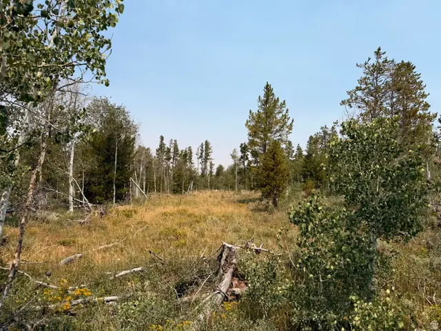4913 Pinecrest Rd, Kamas, UT 84036 - #1