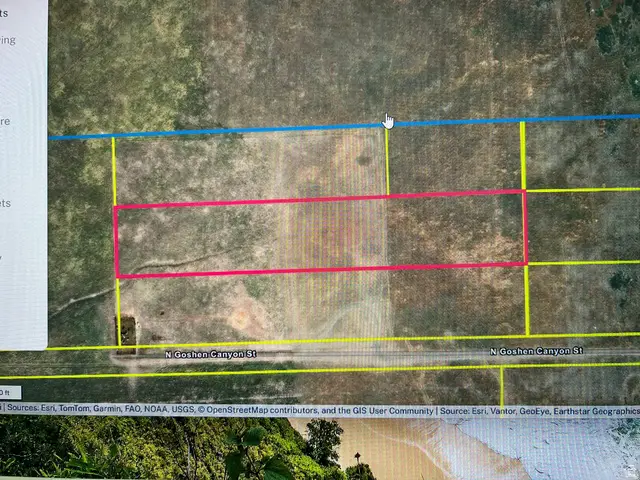 1067 N Goshen Canyon Rd W, Mona, UT 84645 - #1