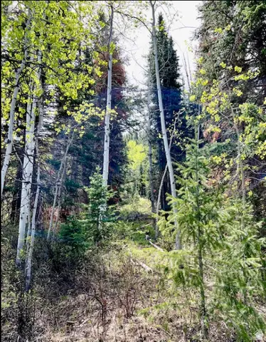 550 Red Fir Way, Oakley, UT 84055