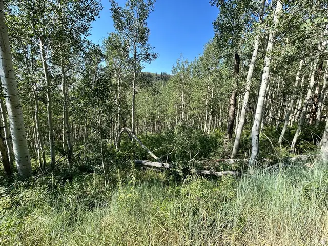 5475 N Hidden Way #37, Midway, UT 84049 - #1