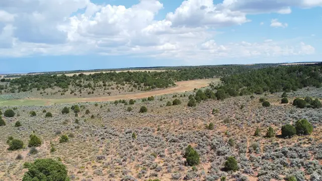 Address Withheld By Seller, Monticello, UT 84535 - #2