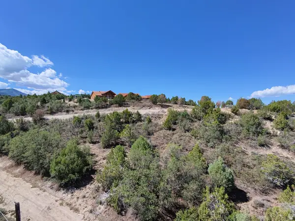 14695 N 11600 E #165, Mt Pleasant, UT 84647