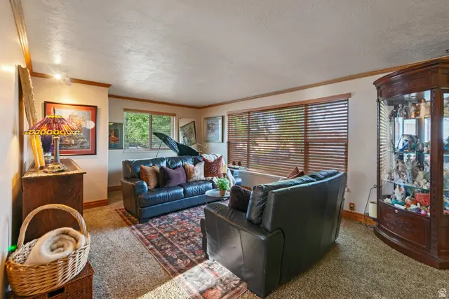 596 N 30 W, American Fork, UT 84003 - #2